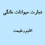 اسلو لوریس تجارت حیوان خانگی