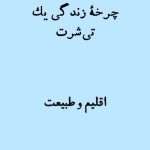 چرخه زندگی یک تیشرت