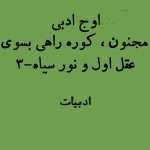 اوج ادبی | مجنون - کوره راهی بسوی عقل اول و نور سیاه-3