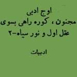 اوج ادبی | مجنون - کوره راهی بسوی عقل اول و نور سیاه-2