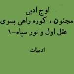 اوج ادبی | مجنون - کوره راهی بسوی عقل اول و نور سیاه-1