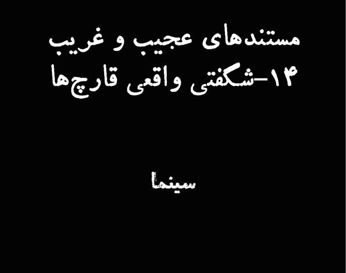 مستندهای عجیب و غریب | اپیزود ۱۴ : جادوی واقعی قارچ‌ها